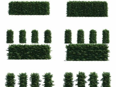 山毛榉树篱3D模型 Polyget – Beech Hedges 3D Models Pack