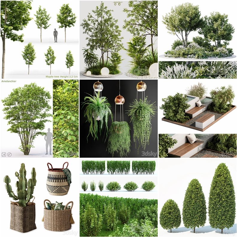 53套植物树木盆栽3D模型合集 3DSky Pro Plants 3D Models Collection