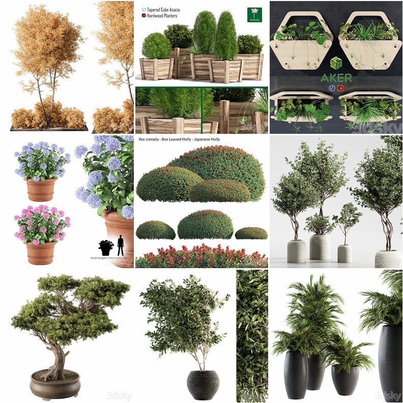 53套植物树木盆栽3D模型合集 3DSky Pro Plants 3D Models Collection
