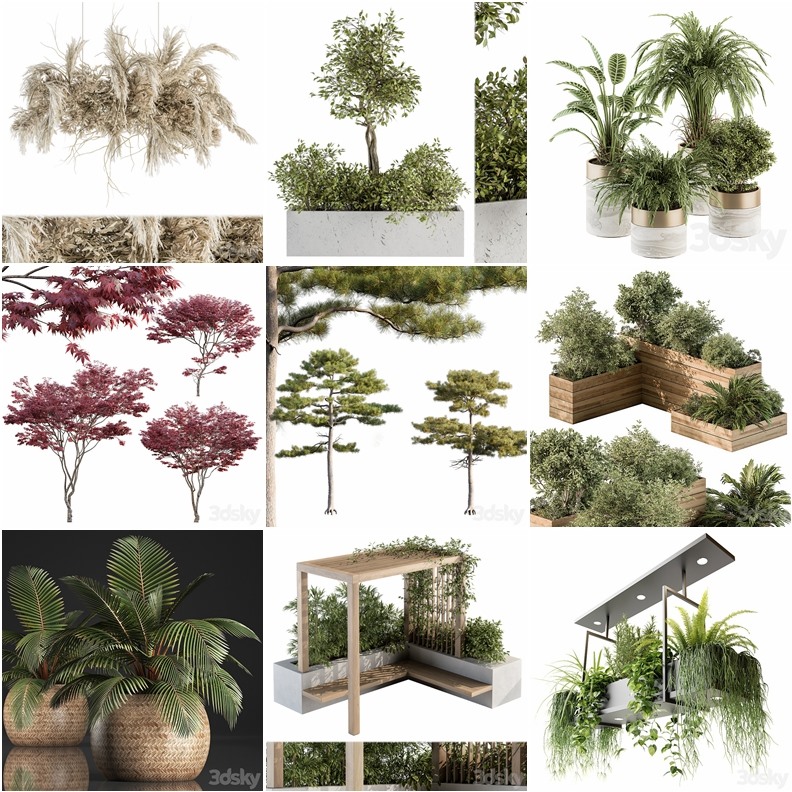 53套植物树木盆栽3D模型合集 3DSky Pro Plants 3D Models Collection