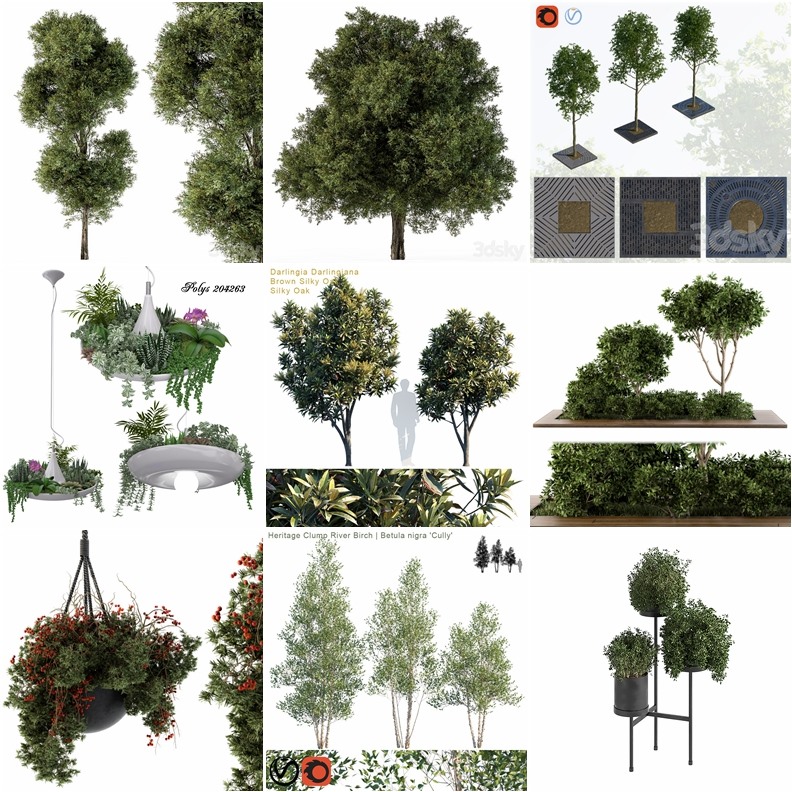 53套植物树木盆栽3D模型合集 3DSky Pro Plants 3D Models Collection