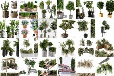 53套植物树木盆栽3D模型合集 3DSky Pro Plants 3D Models Collection