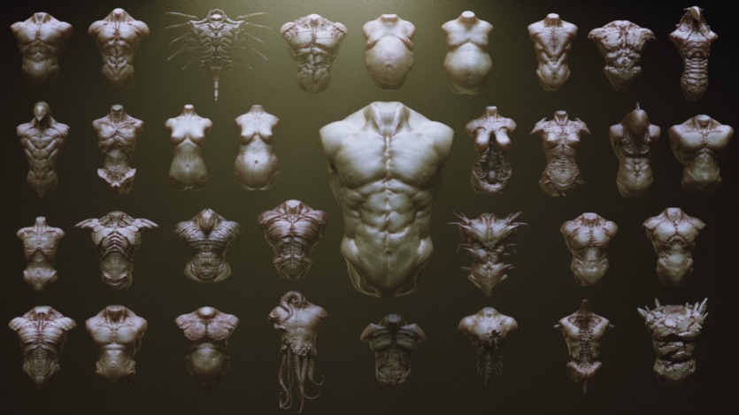 33个角色和生物Zbrush插入网格笔刷 TORSOS - 33 Character & Creature Zbrush Insertmesh Brush