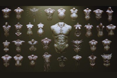 33个角色和生物Zbrush插入网格笔刷 TORSOS – 33 Character & Creature Zbrush Insertmesh Brush