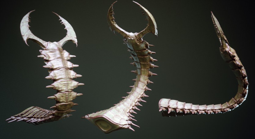 33 种尾部网格和曲线笔刷 TAILS - 33 Tail Meshes & Curve Brushes