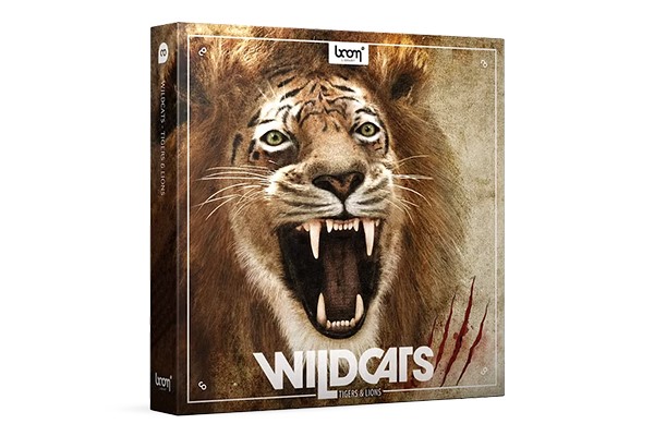 900多种狮子老虎声音音效 Boom Library - Wildcats Tigers Lions