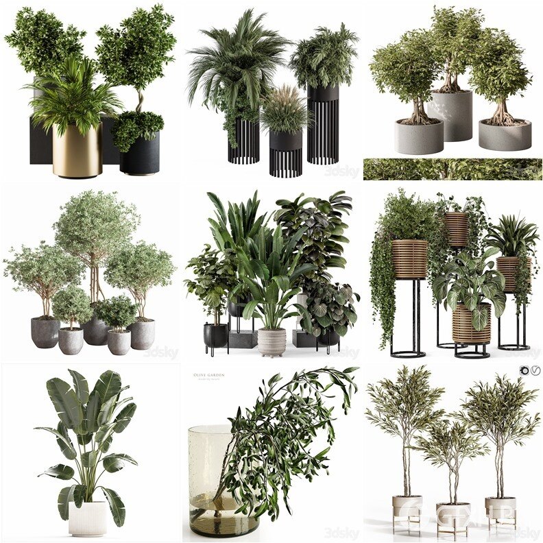 94套植物树木盆栽3D模型合集 3DSky Pro 94 Plants 3D Models Collection