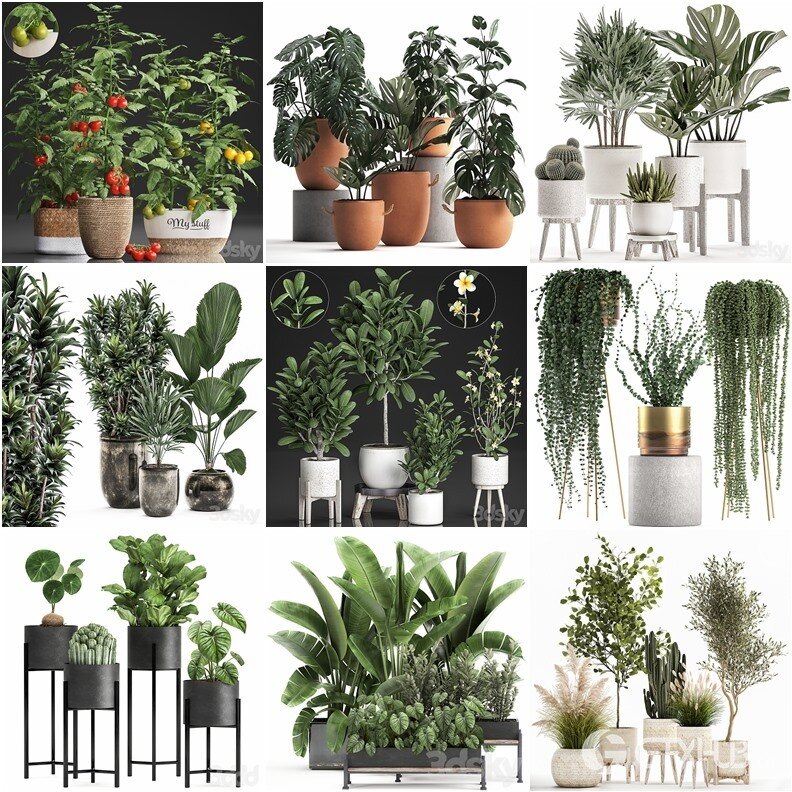 94套植物树木盆栽3D模型合集 3DSky Pro 94 Plants 3D Models Collection