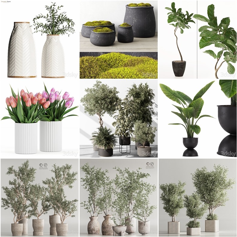 94套植物树木盆栽3D模型合集 3DSky Pro 94 Plants 3D Models Collection