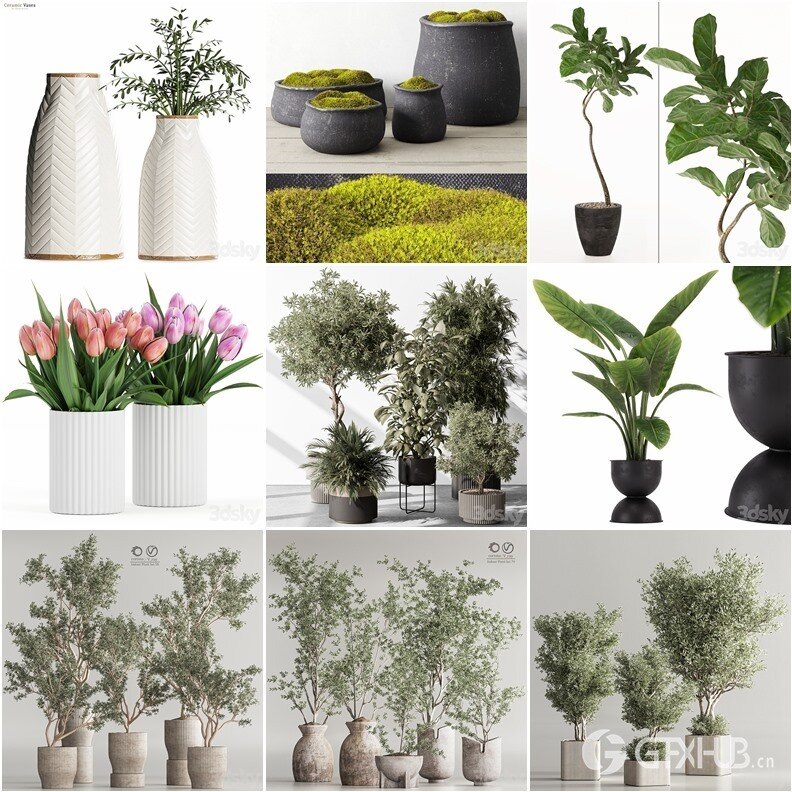 94套植物树木盆栽3D模型合集 3DSky Pro 94 Plants 3D Models Collection