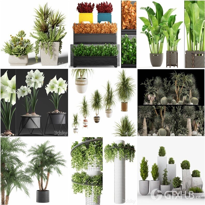 94套植物树木盆栽3D模型合集 3DSky Pro 94 Plants 3D Models Collection