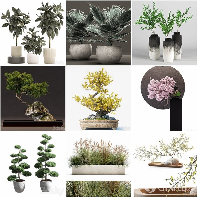 94套植物树木盆栽3D模型合集 3DSky Pro 94 Plants 3D Models Collection