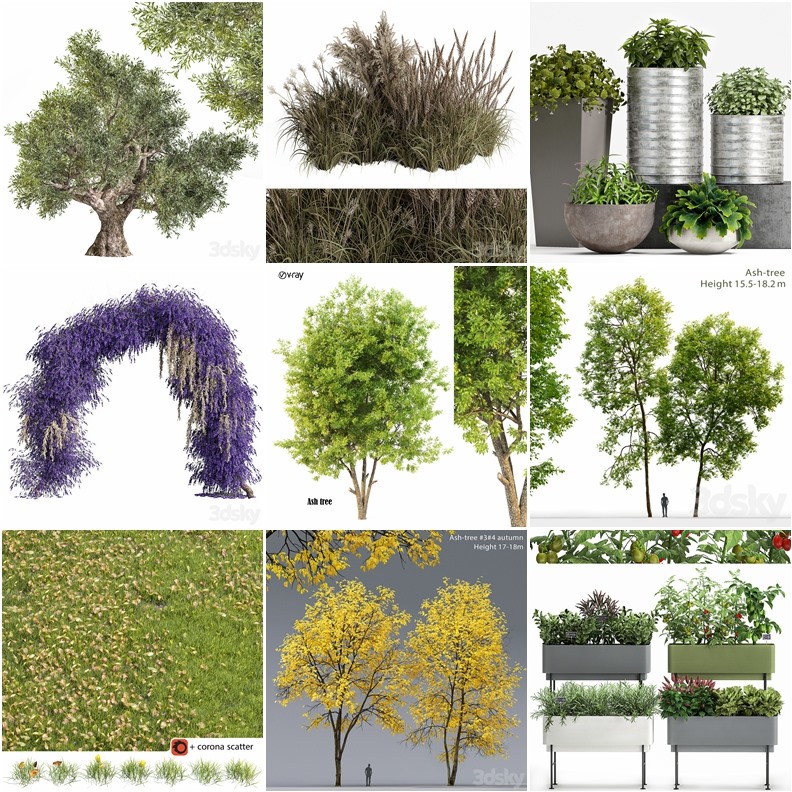 94套植物树木盆栽3D模型合集 3DSky Pro 94 Plants 3D Models Collection