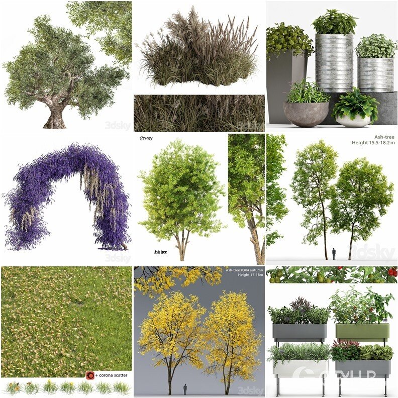 94套植物树木盆栽3D模型合集 3DSky Pro 94 Plants 3D Models Collection