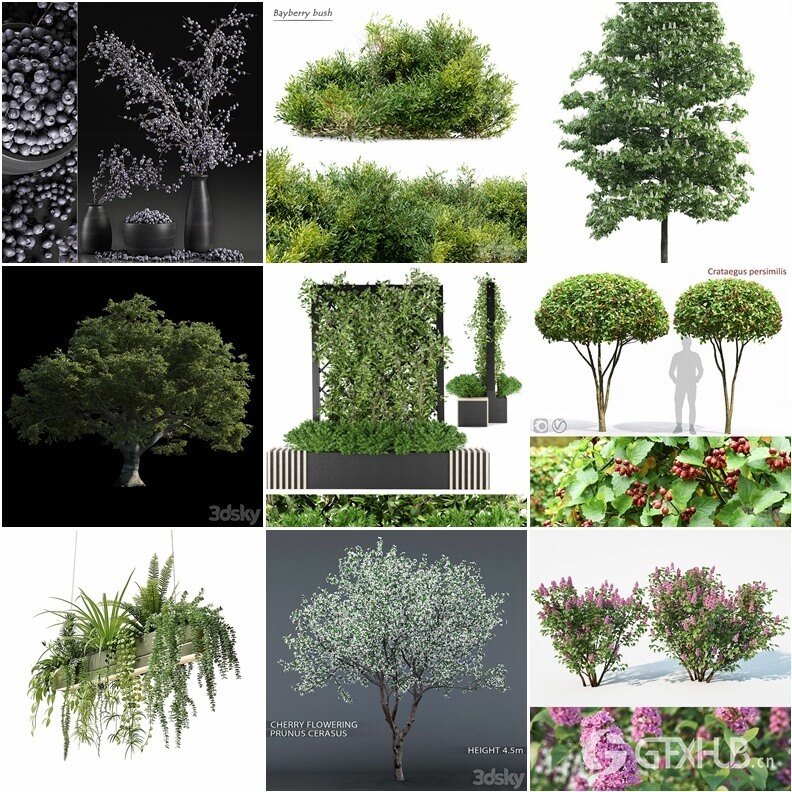 94套植物树木盆栽3D模型合集 3DSky Pro 94 Plants 3D Models Collection