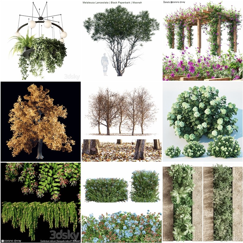 94套植物树木盆栽3D模型合集 3DSky Pro 94 Plants 3D Models Collection