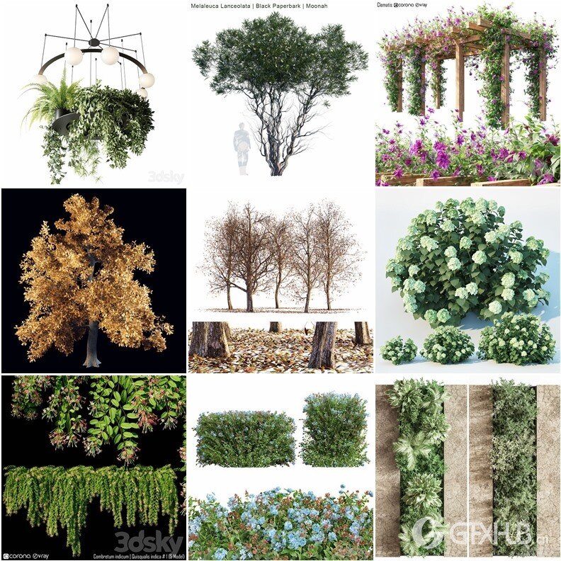 94套植物树木盆栽3D模型合集 3DSky Pro 94 Plants 3D Models Collection