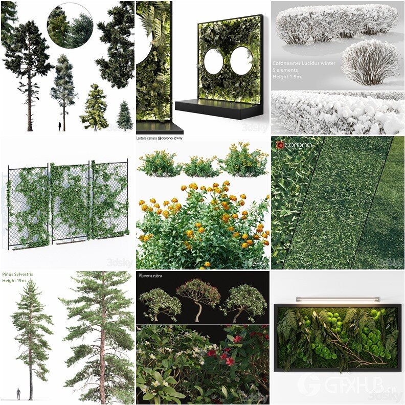94套植物树木盆栽3D模型合集 3DSky Pro 94 Plants 3D Models Collection