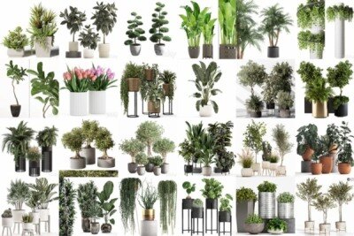 94套植物树木盆栽3D模型合集 3DSky Pro 94 Plants 3D Models Collection