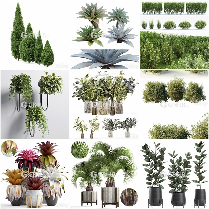 64套植物树木盆栽3D模型合集 3DSky Pro 64 Plants 3D Models Collection