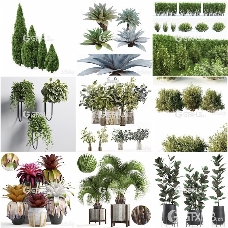 64套植物树木盆栽3D模型合集 3DSky Pro 64 Plants 3D Models Collection