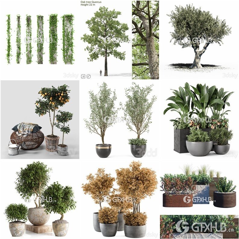 64套植物树木盆栽3D模型合集 3DSky Pro 64 Plants 3D Models Collection