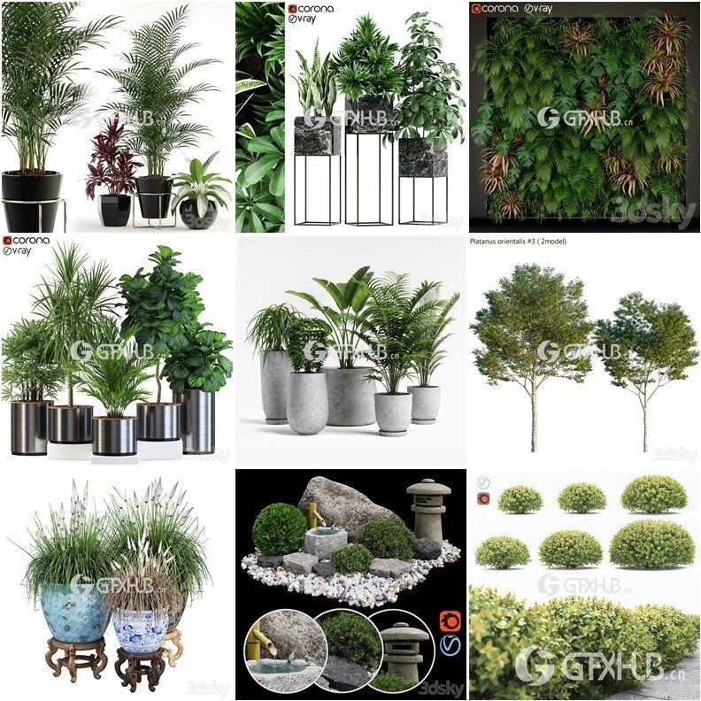 64套植物树木盆栽3D模型合集 3DSky Pro 64 Plants 3D Models Collection