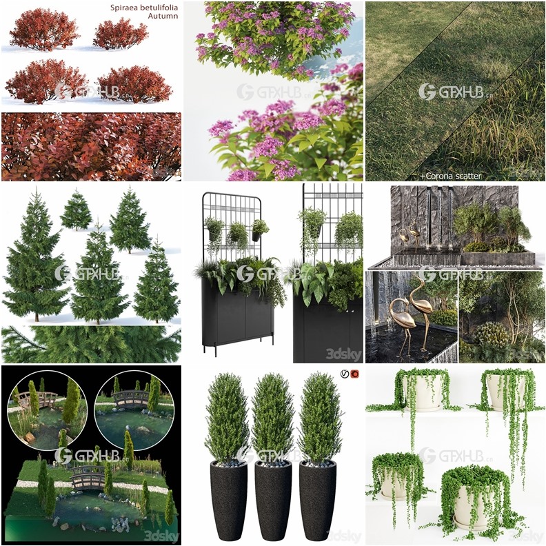 64套植物树木盆栽3D模型合集 3DSky Pro 64 Plants 3D Models Collection