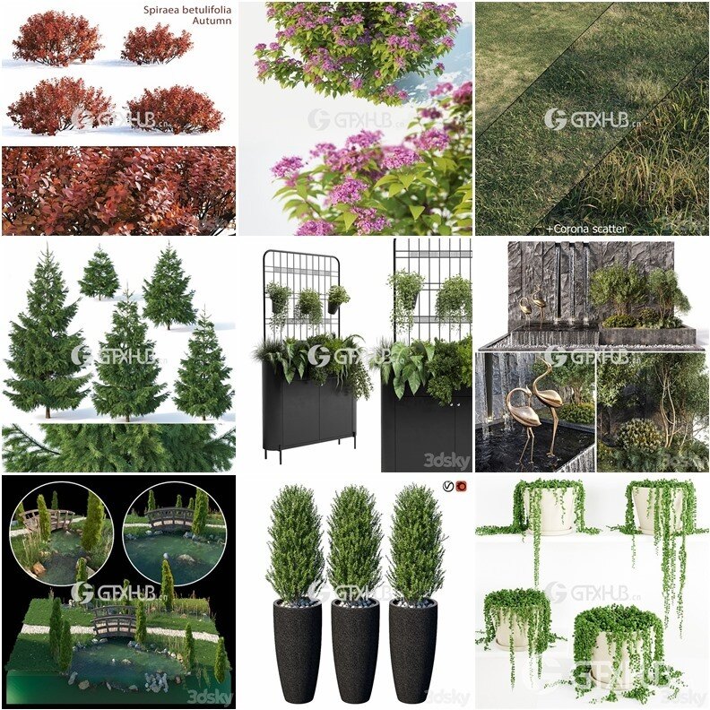 64套植物树木盆栽3D模型合集 3DSky Pro 64 Plants 3D Models Collection