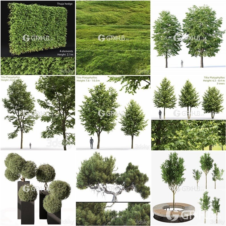 64套植物树木盆栽3D模型合集 3DSky Pro 64 Plants 3D Models Collection