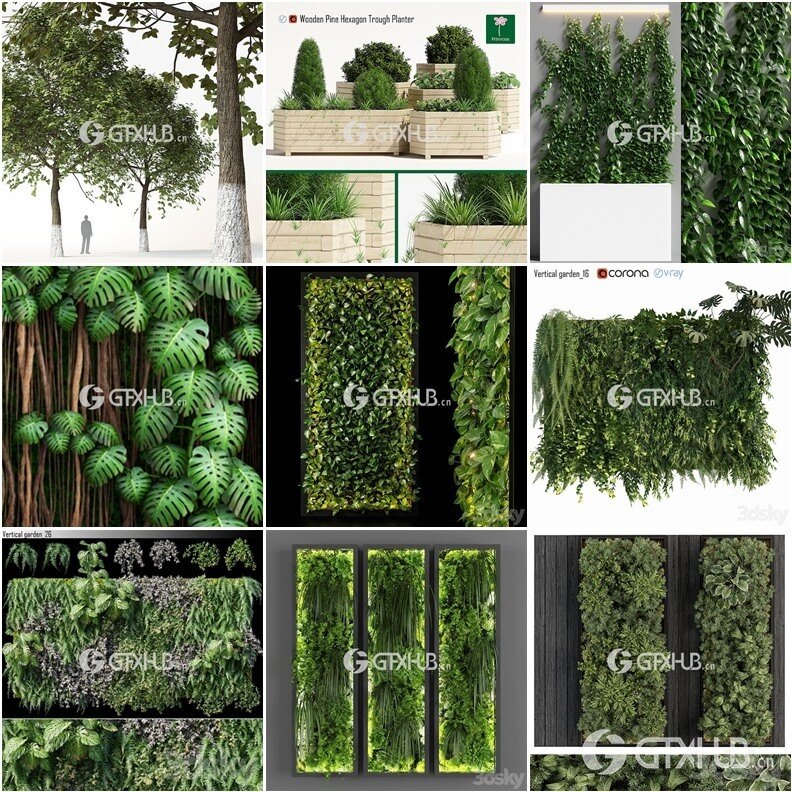 64套植物树木盆栽3D模型合集 3DSky Pro 64 Plants 3D Models Collection