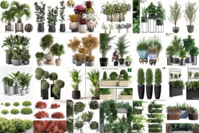 64套植物树木盆栽3D模型合集 3DSky Pro 64 Plants 3D Models Collection