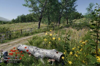 草地环境动态自然 Meadow Environment – Dynamic Nature v2.9.5