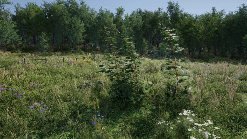 草地环境动态自然 Meadow Environment - Dynamic Nature v2.9.5
