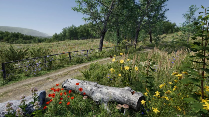 草地环境动态自然 Meadow Environment - Dynamic Nature v2.9.5
