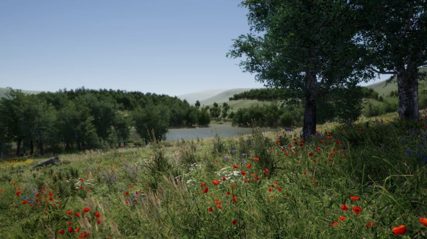 草地环境动态自然 Meadow Environment - Dynamic Nature v2.9.5