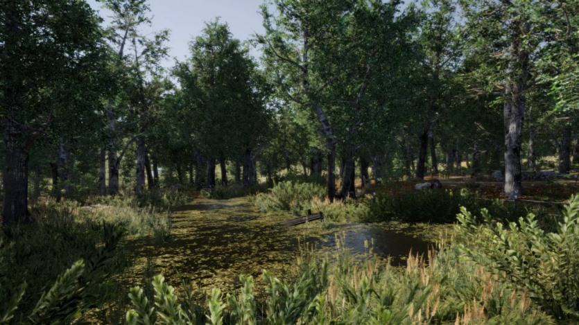 草地环境动态自然 Meadow Environment - Dynamic Nature v2.9.5