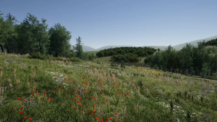 草地环境动态自然 Meadow Environment - Dynamic Nature v2.9.5