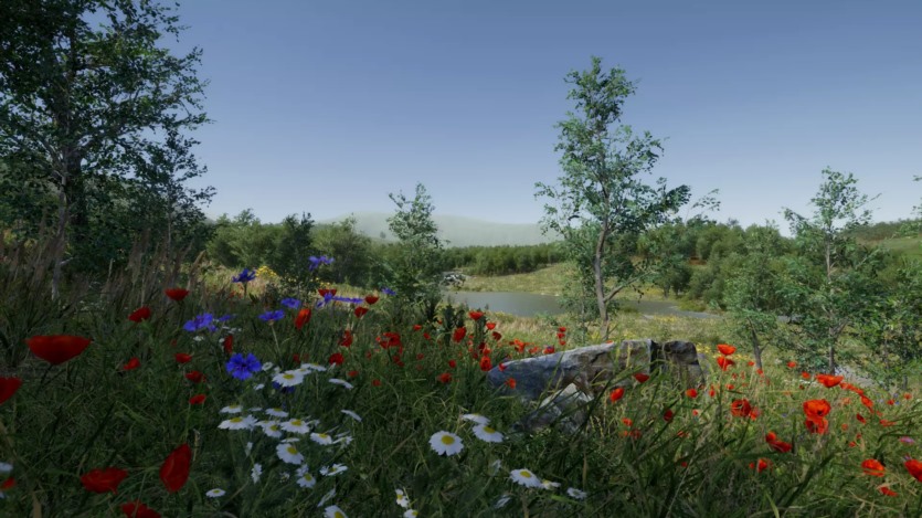 草地环境动态自然 Meadow Environment - Dynamic Nature v2.9.5