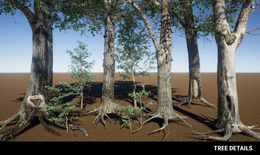 草地环境动态自然 Meadow Environment - Dynamic Nature v2.9.5