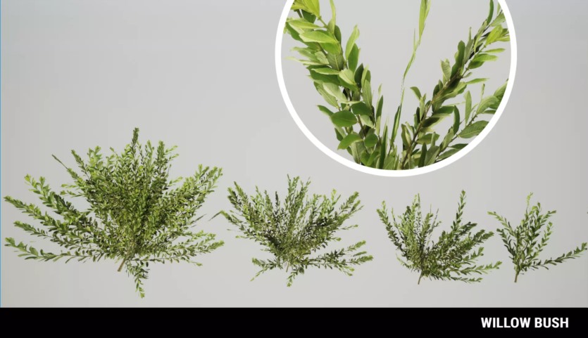 草地环境动态自然 Meadow Environment - Dynamic Nature v2.9.5