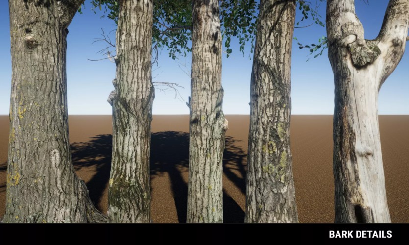 草地环境动态自然 Meadow Environment - Dynamic Nature v2.9.5
