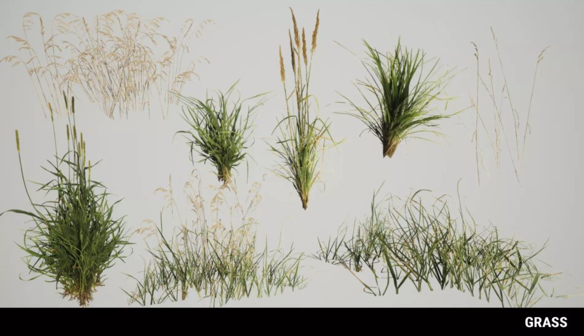 草地环境动态自然 Meadow Environment - Dynamic Nature v2.9.5