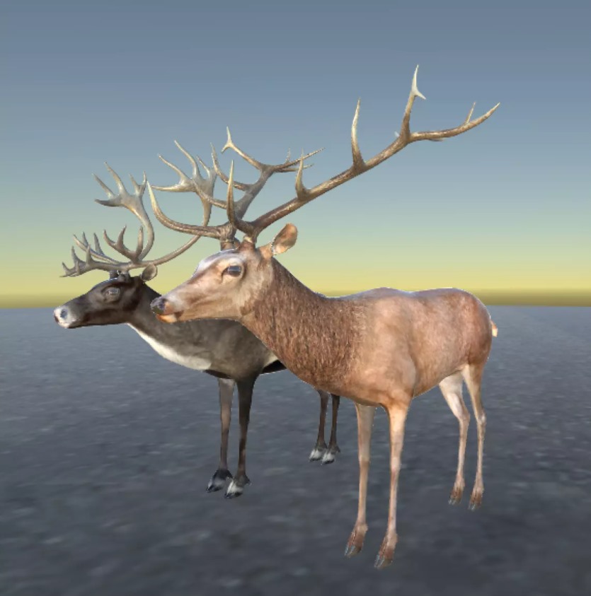 Unity 3D鹿、驯鹿、驼鹿模型和动画 Deer Caribou and Moose v1.0.3.1