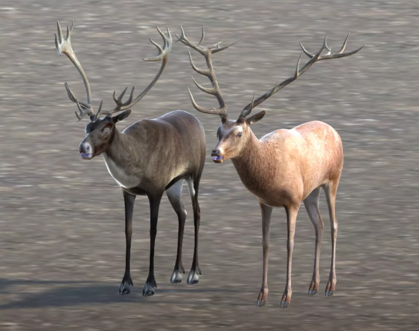Unity 3D鹿、驯鹿、驼鹿模型和动画 Deer Caribou and Moose v1.0.3.1
