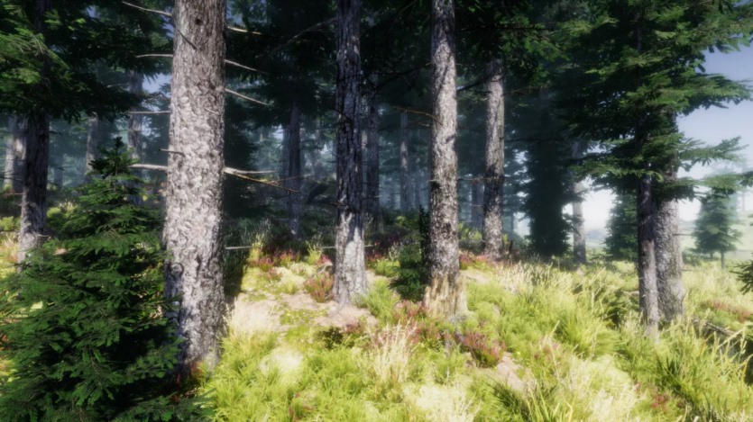 Unity 山树动态自然3D模型 Mountain Trees - Dynamic Nature v2.8.4