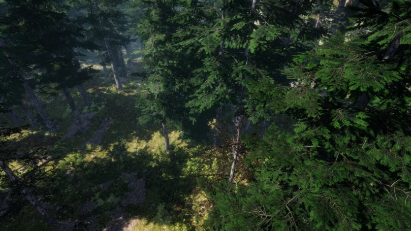 Unity 山树动态自然3D模型 Mountain Trees - Dynamic Nature v2.8.4
