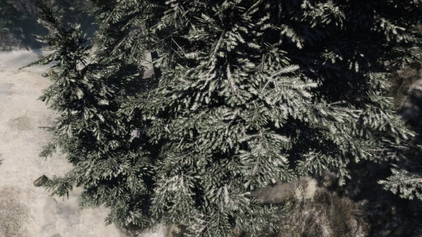 Unity 山树动态自然3D模型 Mountain Trees - Dynamic Nature v2.8.4