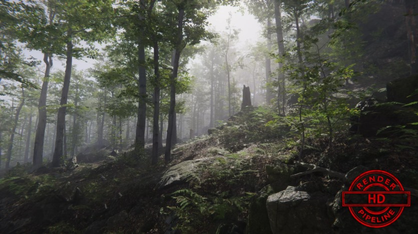 Unity森林环境3D模型资产 Forest Environment - Dynamic Nature v1.8.8.3