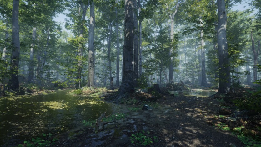 Unity森林环境3D模型资产 Forest Environment - Dynamic Nature v1.8.8.3